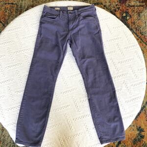 J.Crew Re-Imagined 484 Slim Stretch 5-Pocket Pants W29 L30 Slate Purple Blue Eco